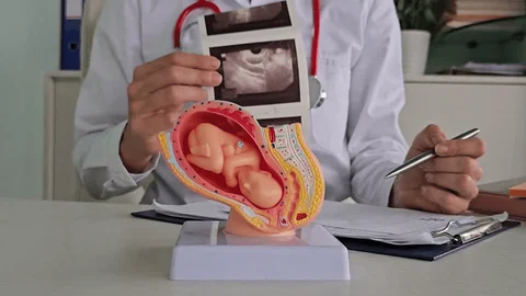 DIPLOMADO EN ECOFRAFÍA EN OBSTETRICIA Y GINECOLOGÍA