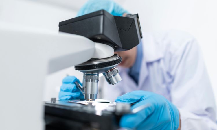 DIPLOMADO EN DIAGNÓSTICOS MICROBIOLÓGICOS / MICROBIOLOGÍA