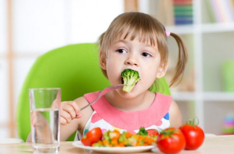 DIPLOMADO EN NUTRICIÓN EN LAS DIFERENTES ETAPAS DE LA VIDA