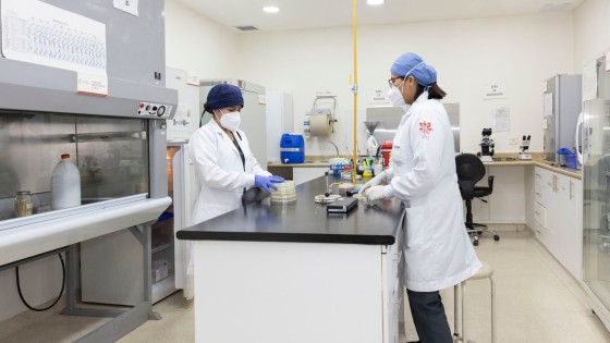 DIPLOMADO EN LABORATORIO CLÍNICO EN MICROBIOLOGÍA