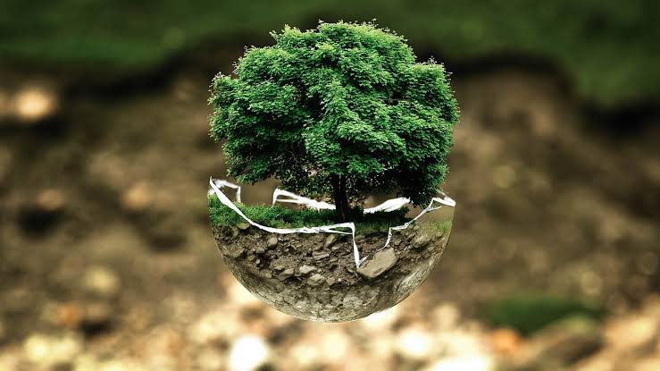 DIPLOMADO EN ECOLOGÍA MICROBIANA Y MICROBIOLOGÍA AMBIENTAL
