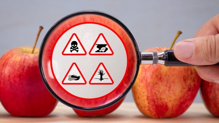 DIPLOMADO EN TOXICOLOGÍA DE ALIMENTOS